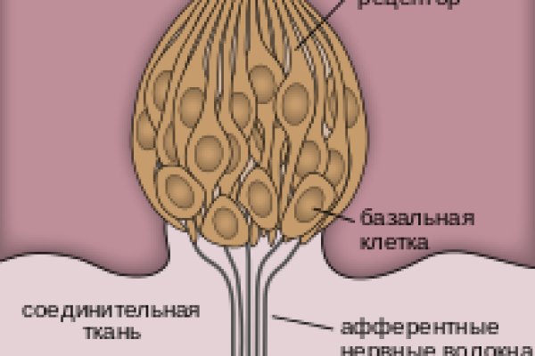 Скрытый интернет как войти