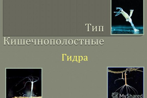 Кракен новое зеркало