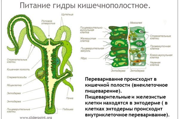 Блэкспрут зеркало кракен