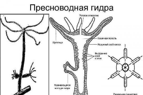 Кракен продажа